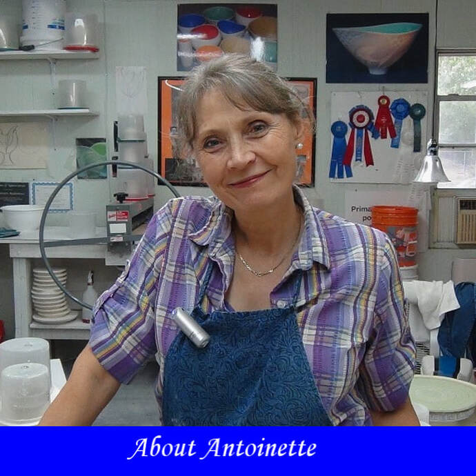 Antoinette Badenhorst is a potter, ceramic teacher, writer and pottery consultant from Saltillo Mississippi.