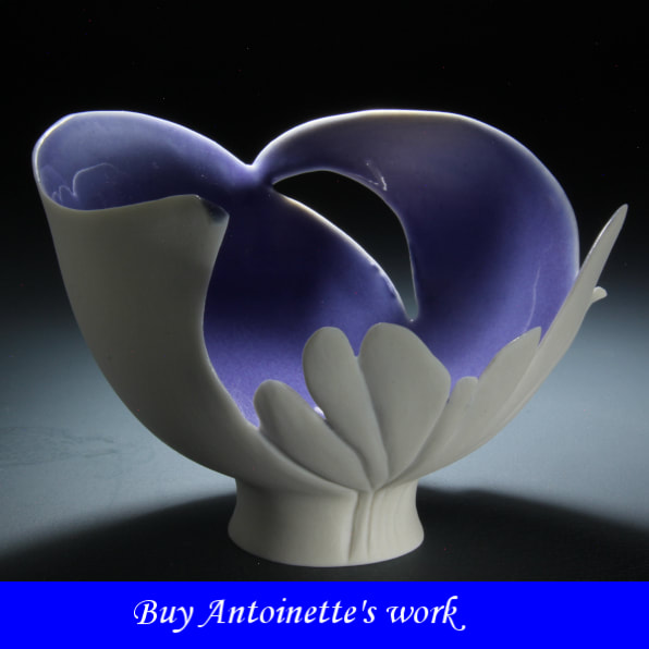 Buy translucent porcelain bowls and other wheel thrown and hand-built dinnerware from the Mississippi ceramic artist, Antoinette Badenhorst.